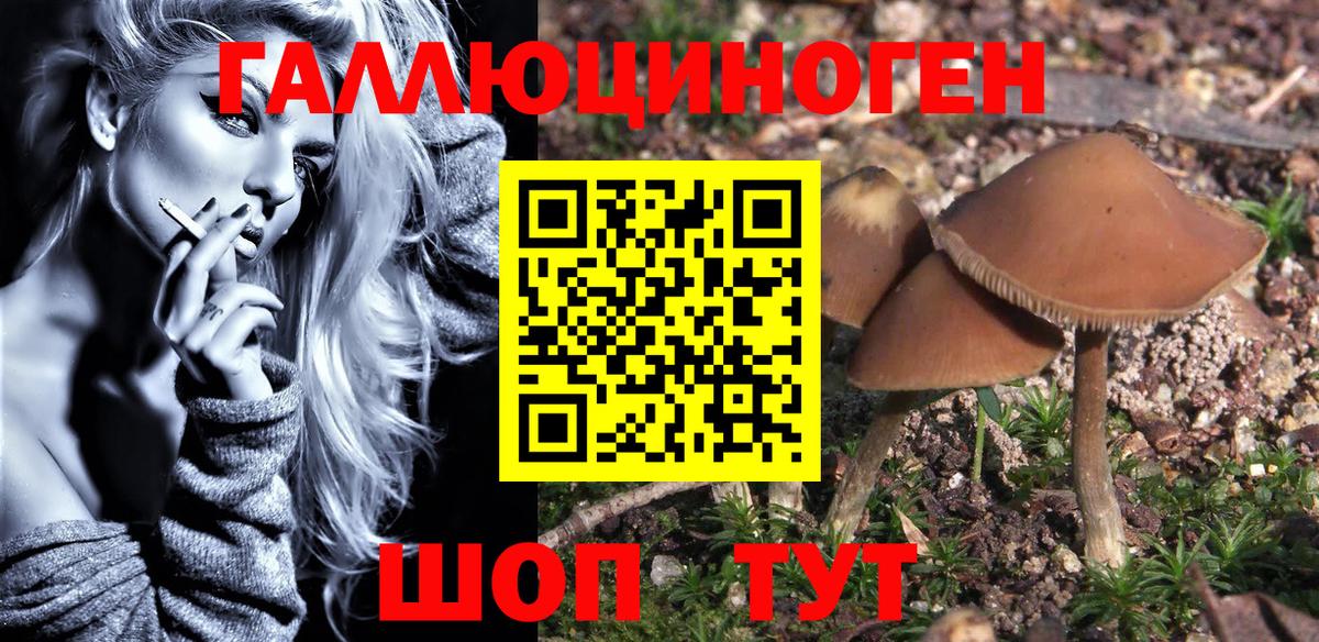Галлюциногенные грибы Magic Shrooms Волхов